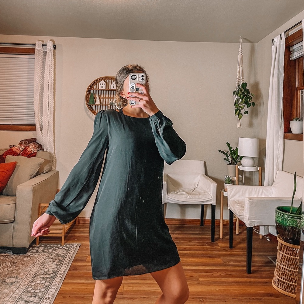 - Lulus silk black balloon long puffed sleeves